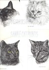  325 Long Hair Black Cat    Cat Art Print     Pen   Ink Drawing By Jan Jellins