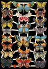 Victorian Style Die Cut Paper Scraps Mixed Butterflies Ef7426 Germany
