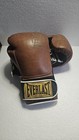Everlast 1910 Leather Boxing Gloves Hook   Loop With Triple-layer Foam 12 Ounces