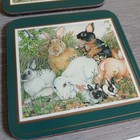 Pimpernel 4  Square Coasters Rabbits Cork Backed Set Of 6 In Box B2