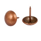 Metal Upholstery Tack Push Nail Copper Tone 7 16  Dia 100pcs For Furniture Decor