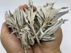 White Sage Loose Cluster Bulk  1 Pound  New Free Ship