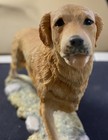 Beautiful Vintage Border Fine Arts - Golden Retriever Figurine Ray Ayres 1982