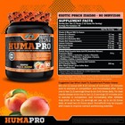 Ultra Efficient Vegan Protein Supplement 90 Servings Lean Muscle Growth