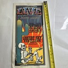 Lucious Jackson Live  desert Sky Pavilion Phoenix Az Concert Poster September 18