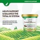 Naturvet Advanced Probiotics Enzymes Plus Dog Soft Chew 70 Count