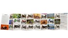Kawasaki 1992 Street And Off-road Brochure   Full Line 