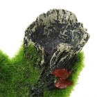 Aquarium Moss Log Cave Fish Tank Decoration Shrimp Hide Breeding Shelter Betta