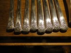 1954 Rogers Deluxe Plate  Mountain Rose  33 Pieces  Exc  Cond  Polished  No Case