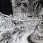 Vintage Clear Glass Bottle Lot - 11pc