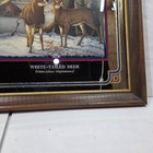 Vtg 1992 Heileman s Old Style Beer Mirrored Bar Sign White Tailed Deer Man Cave 