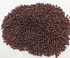 Vintage Antique Czech Glass Seed Beads Metallic Copper Ab Iris 9 0 Cuts C11-31