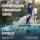 Panacur Dewormer Horse Paste 10   100mg   Single