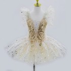 Girls Ballet Tutu Dress Kids Ballerina Dance Leotard Contemporary Costume Outfit