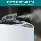 3l Sauna Steamer Machine Portable Steam Generator Home Sauna Steamer Pot 1500w