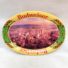 Vintage Budweiser Beer Metal Oval Bar Tip Change Tray Lot-custers Last Stand  