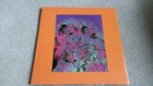 Led Zeppelin The Visual Thing 1969 Tour Book Promo