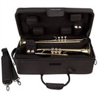 Protec Ip301d Ipac Double Trumpet Case Black Standard
