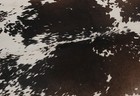 New Cowhide Rugs Area Cow Skin Leather 14 06 Sq feet  45 x45   Cow Hide M1154