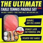 Professional Ping Pong Paddle Sets 2 Paddle 4 Paddle Table Tennis Set