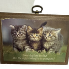 Vintage Hallmark Plaque Cats Kittens Every Dog Has His Day But The Nights   
