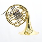Yamaha Model Yhr-672d Professional Double French Horn With Screw Bell Mint