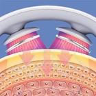 Neck Massager With Heat Electric Massager For Neck Shoulder Pain Relief