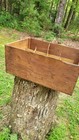 Antique Original  Crate Case Schram Automatic Sealer Co  St  Louis Mo  Half Gal 
