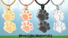 New Paw Print Dog Cat Pet Urn Cremation Pendant Ashes Memorial Necklace 