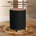 Bestisan Littoak Powered Subwoofer  6 5       Sub With Dsp  Up To 100 Watts 40-250hz