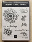 Stampin Up Stamp die Set Bundle   Celebrate Sunflowers   Used- A Must Have  Htf 