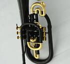 High Grade Professional Black Lacquer Marching Mellophone F Key With Case
