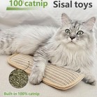 New Interactive Catnip Chew Toy Catnip Kicker Pillow For Indoor Cats