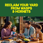 Raid Wasp   Hornet Killer Spray  Kills The Entire Nest  For Paper Wasps  17 5 Oz
