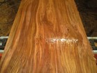 Large Birch Bowl Blank Turning Block Lumber Wood Carve 10  X 10  X 3 