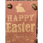 Soha Living Happy Easter Wood Sign In Hawaii Nei Bunny Decor Hanging