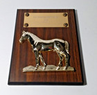 1980 N  H  Quarter Horse Asso  Trophy Plaque  Wood  Gold Tone  7  X 9 