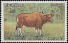 Protected Wild Animals  iii   mnh 