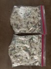 Sea Glass Mixed Colors 1 Lb Lot Genuine From Sea Glass Beach In Fort Bragg Ca