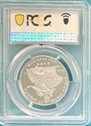 2004-w  100 American Platinum Eagle Statue Of Liberty Pr69 Dcam Pcgs 58673096