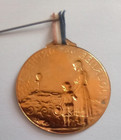 French 1916  Ww1 First Wolrd War Charity For Orphans Journee Badge   Medal