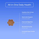 Dog Is Human Multivitamin Soft Chews   Human-grade Dog Wellness  60ct 
