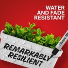 Sharpie King Size Permanent Markers Chisel Tip Markers For Work   Industrial Use