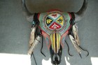 Buffalo Skull Art Native American Artist Mouka G2u