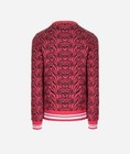 Arena Girls  Pullover Sweatshirt Crew Neck A Winterberry  10-11 Years