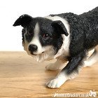 Border Collie Sheepdog Ornament Figurine Classic Pose Leonardo Range Boxed
