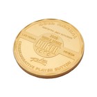 World Series Of Poker 2009 Player Button Official Card Guard Rio Las Vegas Chip