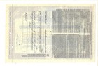 Argentina 1929 Intercontinents Power Company Stock Certificate