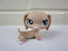 Lps Littlest Pet Shop Authentic Rare Exclusive  909 C-031 Hasbro Dog Dachshund