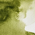 Winsor   Newton Professional Watercolor  0 17 Fl Oz  pack Of 1   Olive Green 